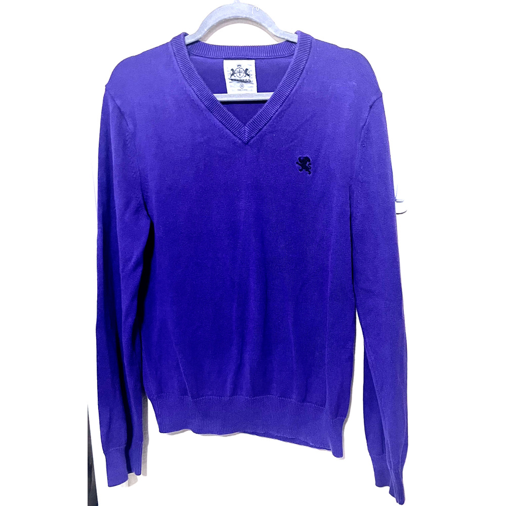 Express Mens Sweater V Neck Long Sleeve Casual Purple Cotton sz M
